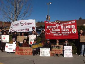 Boycott Sakuma! Bocott Driscolls! IWW picket in Bellingham, February 2015.